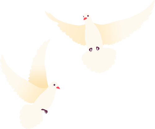 bt, com, om