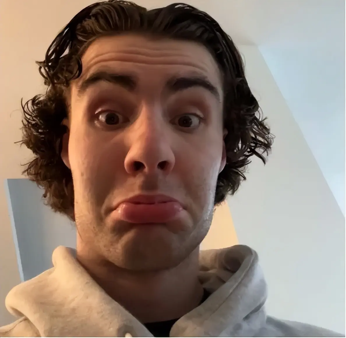 entit, msn entit, msn